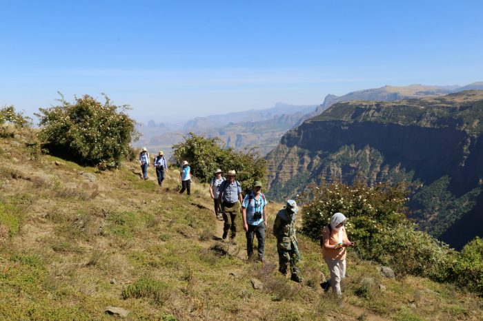 8 Days/7 Nights Bale Mountain Trekking